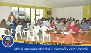 TALLER DE ORIENTACIÓN SOBRE FONDO CONCURSABLE: PROCOMPITE