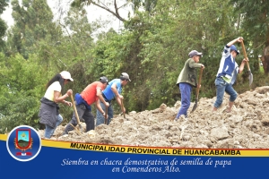 IMPLEMENTACIÓN DE CHACRA DEMOSTRATIVA DE PAPA CERTIFICADA