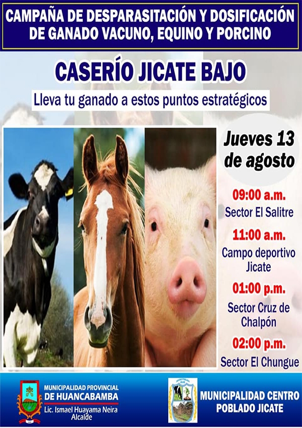 CAMPAÑA DE DESPARASITACIÓN Y DOSIFICACIÓN DE GANADO VACUNO, EQUINO Y PORCINO