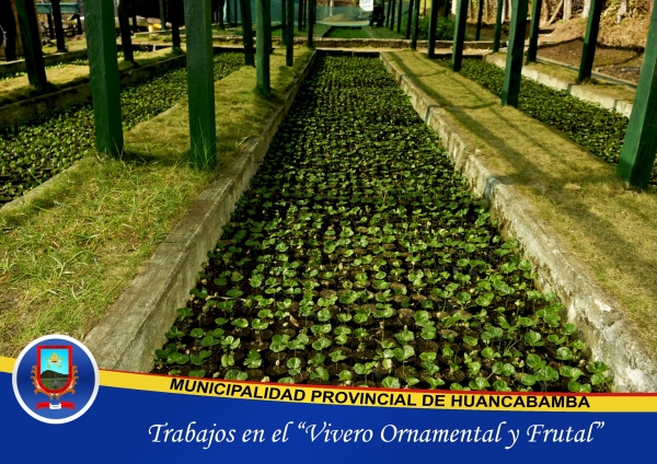 IMPLEMENTACIÓN Y MANTENIMIENTO DEL VIVERO MUNICIPAL