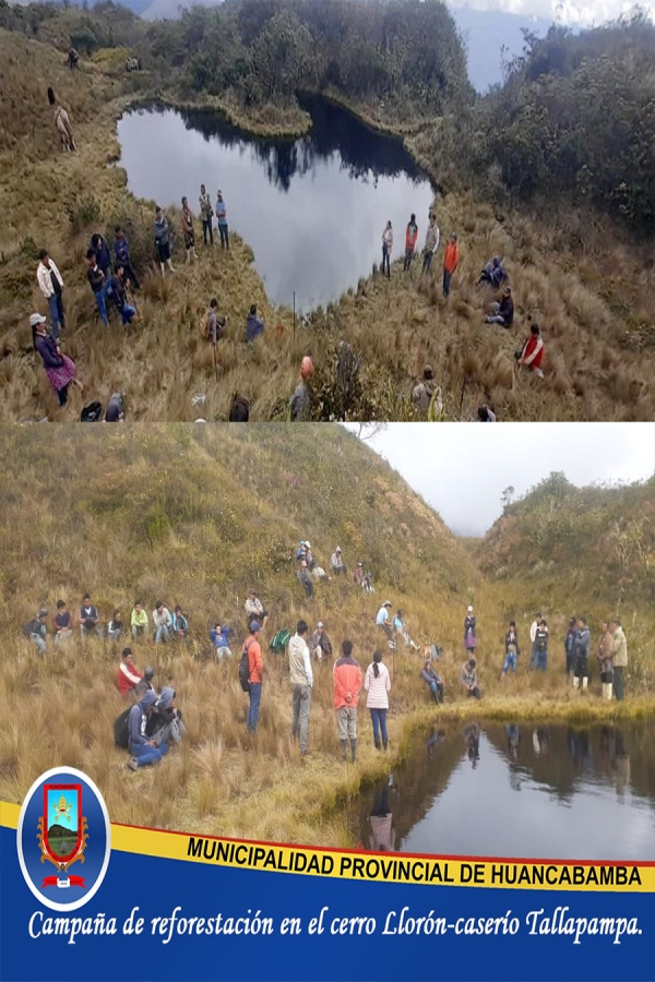 CAMPAÑA DE REFORESTACIÓN EN EL CERRO LLORÓN – CASERÍO TALLAPAMPA