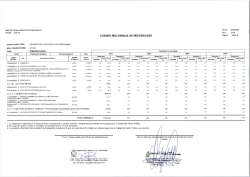 CUADRO MULTIANUAL DE NECESIDADES 2027-2029-ANEXO N&deg;2 FASE DE IDENTIFICACION